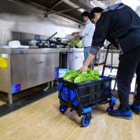 Фото тележка трансформер стелла-техник fw-90tp на сайте www.kiit.ru в интернет-каталоге КИИТ ☎ +7(800) 707-07-45 Изображение №7