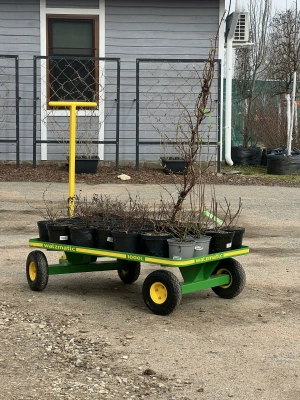 Ручная тележка Walzmatic 1000L. Изображение №7