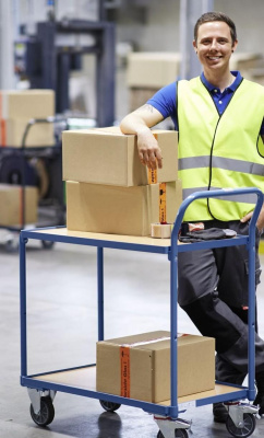 Тележка СТЕЛЛА КП-2 -200-И. Изображение №1