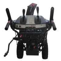 Фото снегоуборщик бензиновый evoline sbg 620 e на сайте www.kiit.ru в интернет-каталоге КИИТ ☎ +7(800) 707-07-45 Изображение №13