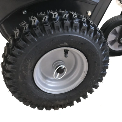 Подметальная машина EVOline SWG 1000. Изображение №8