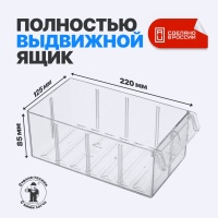 Фото выдвижной ящик стелла-техник с-2 (красный/прозрачный) на сайте www.kiit.ru в интернет-каталоге КИИТ ☎ +7(800) 707-07-45 Изображение №3