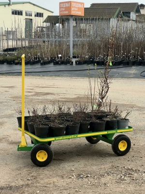 Ручная тележка Walzmatic 1000L. Изображение №9