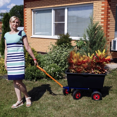 Тележка ЖКХ ТДС 150 кг. Изображение №8