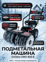 Купить подметальную машину EVOline SWG 800 B | Двигатель Briggs & Stratton, круглогодичная уборка