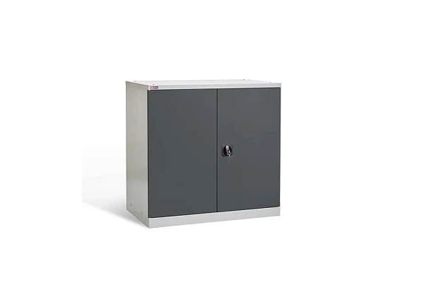 Фото шкаф диком вл-051-01 на сайте www.kiit.ru в интернет-каталоге КИИТ ☎ +7(800) 707-07-45 Изображение №2