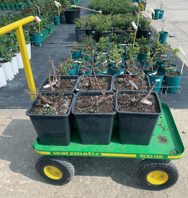 Тележка Walzmatic 500. Изображение №12