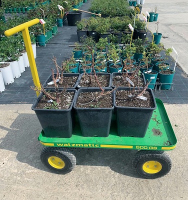 Тележка Walzmatic 500. Изображение №7