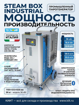 Промышленный парогенератор Tecnovap Steam Box Industrial 28,8 кВт. Изображение №2