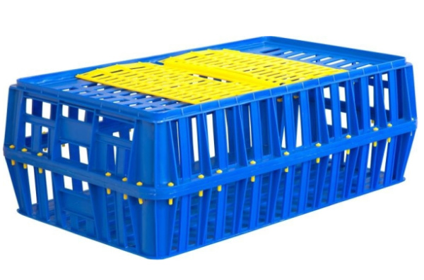 Фото ящик п/э для перевозки живой птицы 850х500х300 перфорированный на сайте www.kiit.ru в интернет-каталоге КИИТ ☎ +7(800) 707-07-45