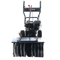 Купить подметальную машину EVOline SWG 620-200 в КИИТ. Самоходная бензиновая модель с двигателем Zongshen, шириной уборки 62 см и высокой производительностью.