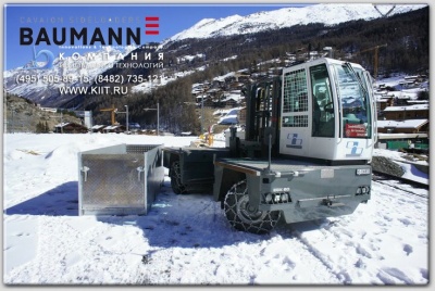 Электропогрузчик с боковой загрузкой BAUMANN EHX 50. Изображение №5