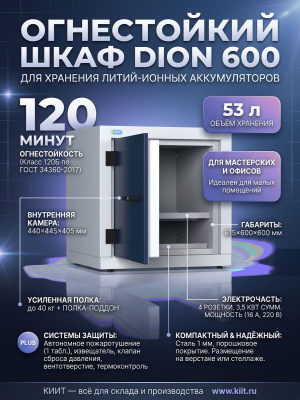 Огнестойкий шкаф DION 600 для хранения литий-ионных АКБ (огнестойкость 120 мин, 53 л, 615×600×600 мм). Изображение №1