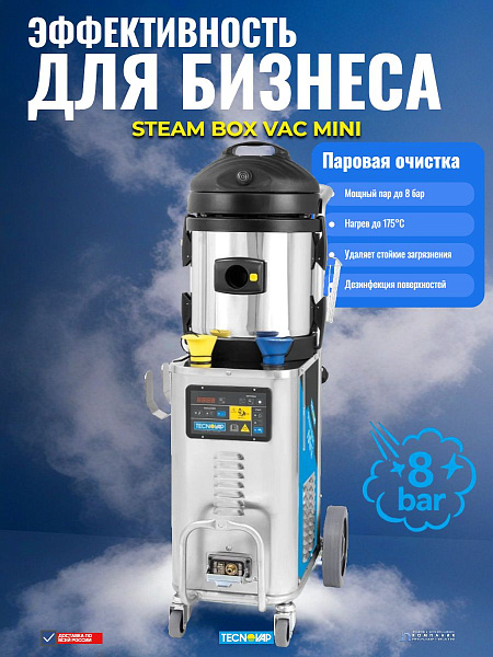 Парогенератор-пылесос Tecnovap | Steam Box Vac Mini с линией горячей воды | Для сложных жиров и масел - КИИТ