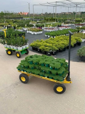 Тележка платформенная Walzmatic 1000. Изображение №5