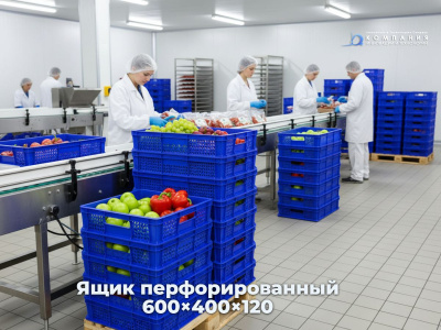 Пластиковый ящик 600х400х120 мм перфорированный с ручками синий морозостойкий. Изображение №5