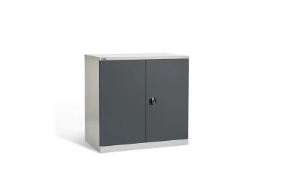 Шкаф Диком ВЛ-051-02. Изображение №2