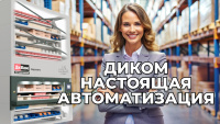 Идеально подходит как автоматизированный склад мелких деталей для производственных предприятий, инжиниринговых и сервисных организаций