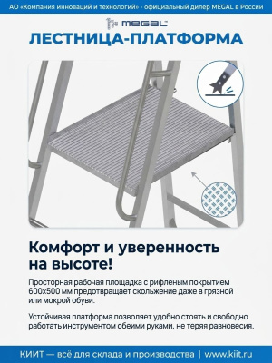 Лестница-платформа фиксированной высоты MEGAL ЛПФВА-2 с резиновыми башмаками. Изображение №4