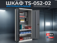 Купить инструментальный шкаф TS-052-02 1900х950х500 мм с двумя перфорированными экранами. Нагрузка 500 кг, 2 полки по 60 кг.