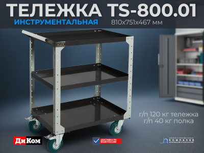 Тележка инструментальная ДиКом TS-800.01 | 3 полки, колеса с тормозом, нагрузка 120 кг. Изображение №4