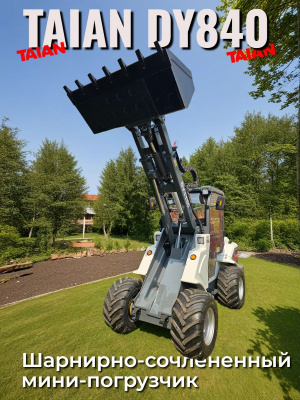 Мини-погрузчик шарнирно-сочлененный TAIAN DY840. Изображение №18
