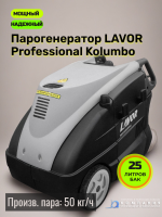 Профессиональный промышленный парогенератор LAVOR Professional Kolumbo с дизельный нагревом бойлера, универсальная машина для клининга и уборки