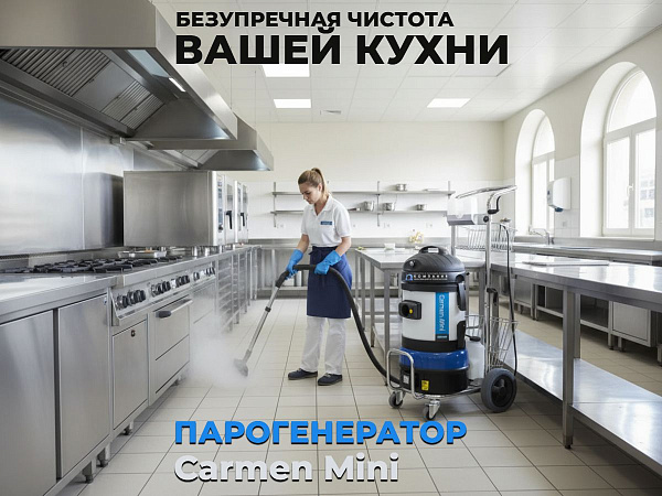 Купить Carmen Mini -  Мощный пар 165°C и встроенный пылесос идеально подходят для обезжиривания плит, вытяжек и рабочих столов в ресторанах и на домашних кухнях - КИИТ