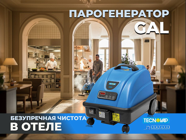 Парогенератор Tecnovap GAL 8 бар - профессиональный пароочиститель купить в России - КИИТ