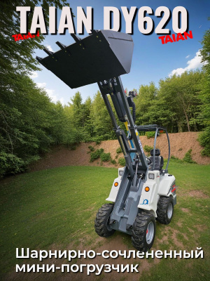 Мини-погрузчик шарнирно-сочлененный TAIAN DY620. Изображение №12