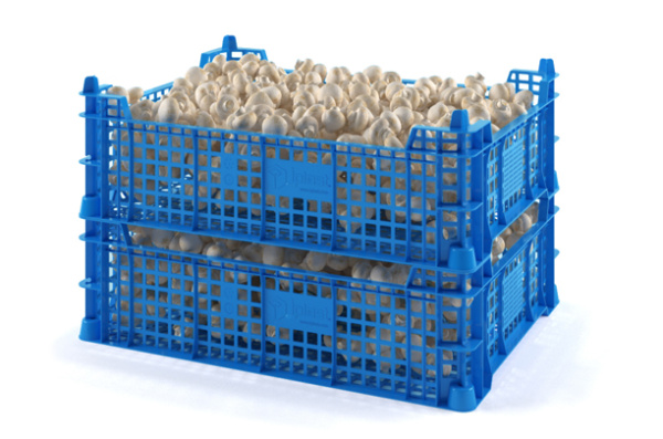 Фото ящик под грибы iplast 12.415 400х300х110 синий на сайте www.kiit.ru в интернет-каталоге КИИТ ☎ +7(800) 707-07-45