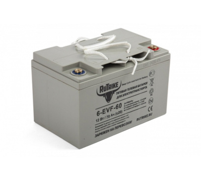 Аккумулятор для тележек CBDW 12V/105Ah гелевый (Gel battery). Изображение №1