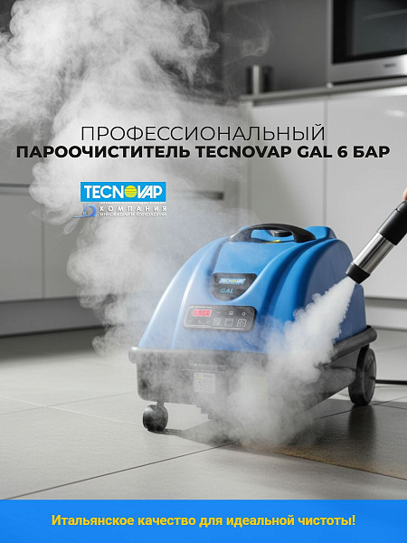 Пароочиститель профессиональный Tecnovap GAL | Давление 6 бар, пар 165°C