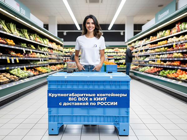 Большой контейнер Big Box 1017х636х673 на ножках, с крышкой на петлях голубой купить в КИИТ