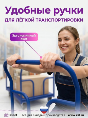Грузовая тележка для склада 2 ручки ТПД 2 600х900 мм. Изображение №2